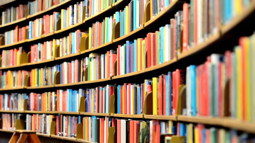 A library shelf filled with books