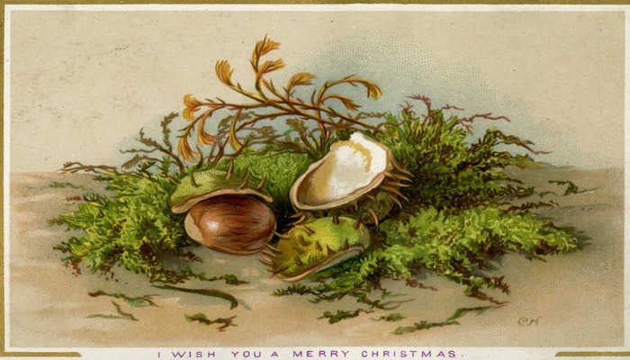 A Christmas card featuring a drawing of chestnuts