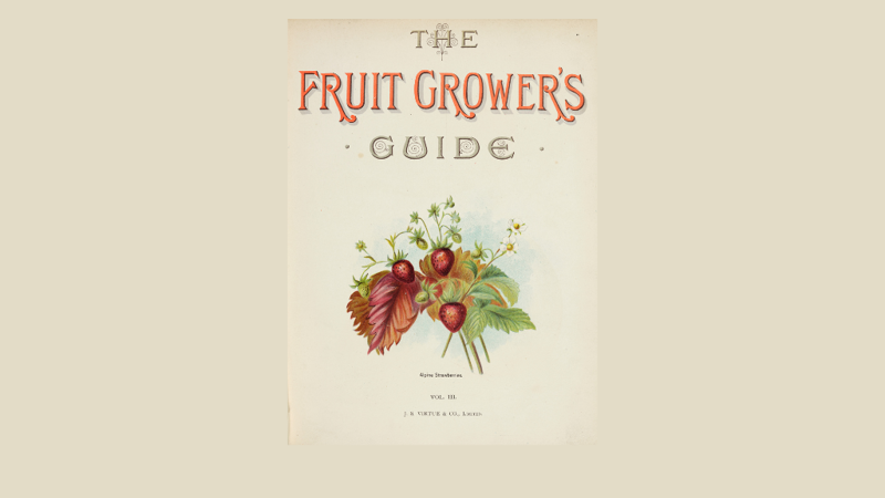 Title page of a book featuring a bunch of strawberries