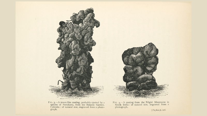 Book illustration of the excretions of a worm