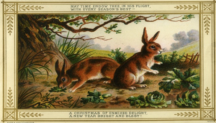 A Christmas Card with an illustration of hares