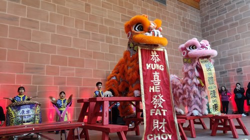 Two people dressed in colourful dragon costumes perform in a sandstone museum building.
