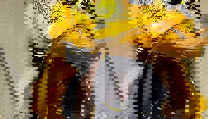 a Doing A Lion Dance As Part Of The Knightswood Gala Day