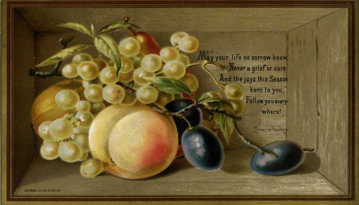 A Christmas card featuring a drawing of fruit