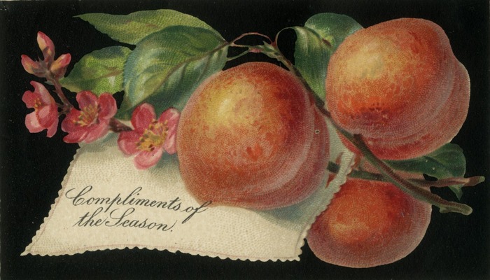 A Christmas card featuring a drawing of peaches