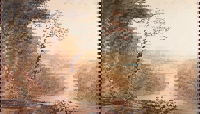 an artwork showing Dale's Lanark works from some way down the river behind trees.